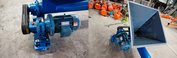 绿巨人黄色免费网站