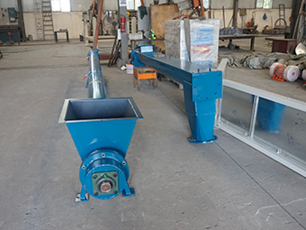 LS绿巨人黄色免费网站