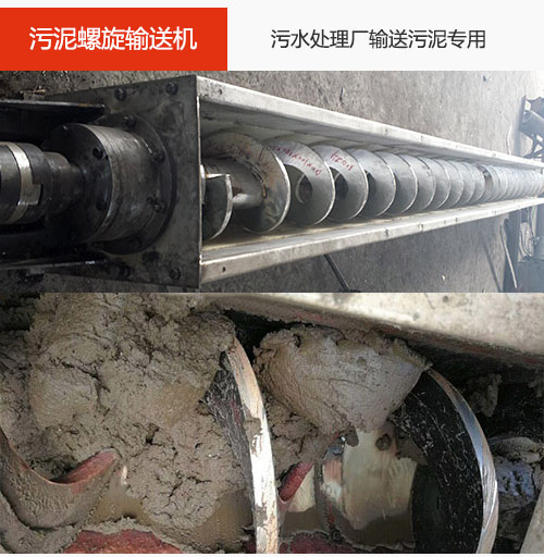 汙泥绿巨人黄色免费网站水平/傾斜輸送，汙水廠輸送汙泥專用設備。