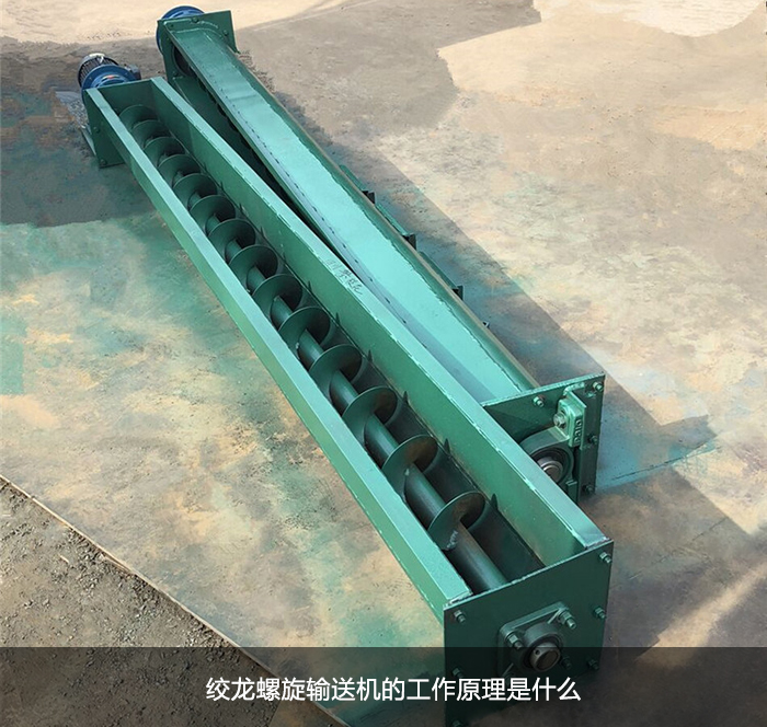 蛟龍绿巨人黄色免费网站圖片